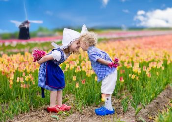 THE NETHERLANDS IS PARTNER COUNTRY OF PSI 2024