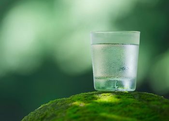 HOW TO REDUCE CARBON FOOTPRINT IN SOFT DRINKS PRODUCTION IN A TIGHT INVESTMENT ENVIRONMENT