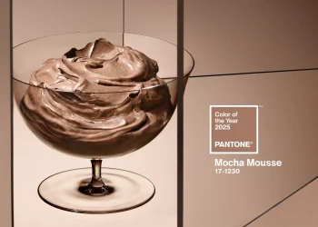 PANTONE INTRODUCES PANTONE 17-1230 MOCHA MOUSSE AS COLOUR OF THE YEAR 2025