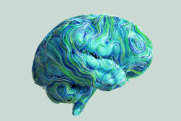 DIRECT MAIL ON THE BRAIN