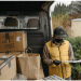 CARBON BALANCING IN PACKAGING: BEYOND BOOKS AND PUBLISHING