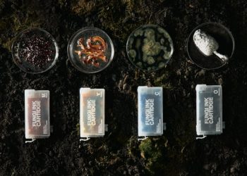 IS THE FUTURE OF PRINT TEMPORARY? REDEFINING INK WITH GROWINK